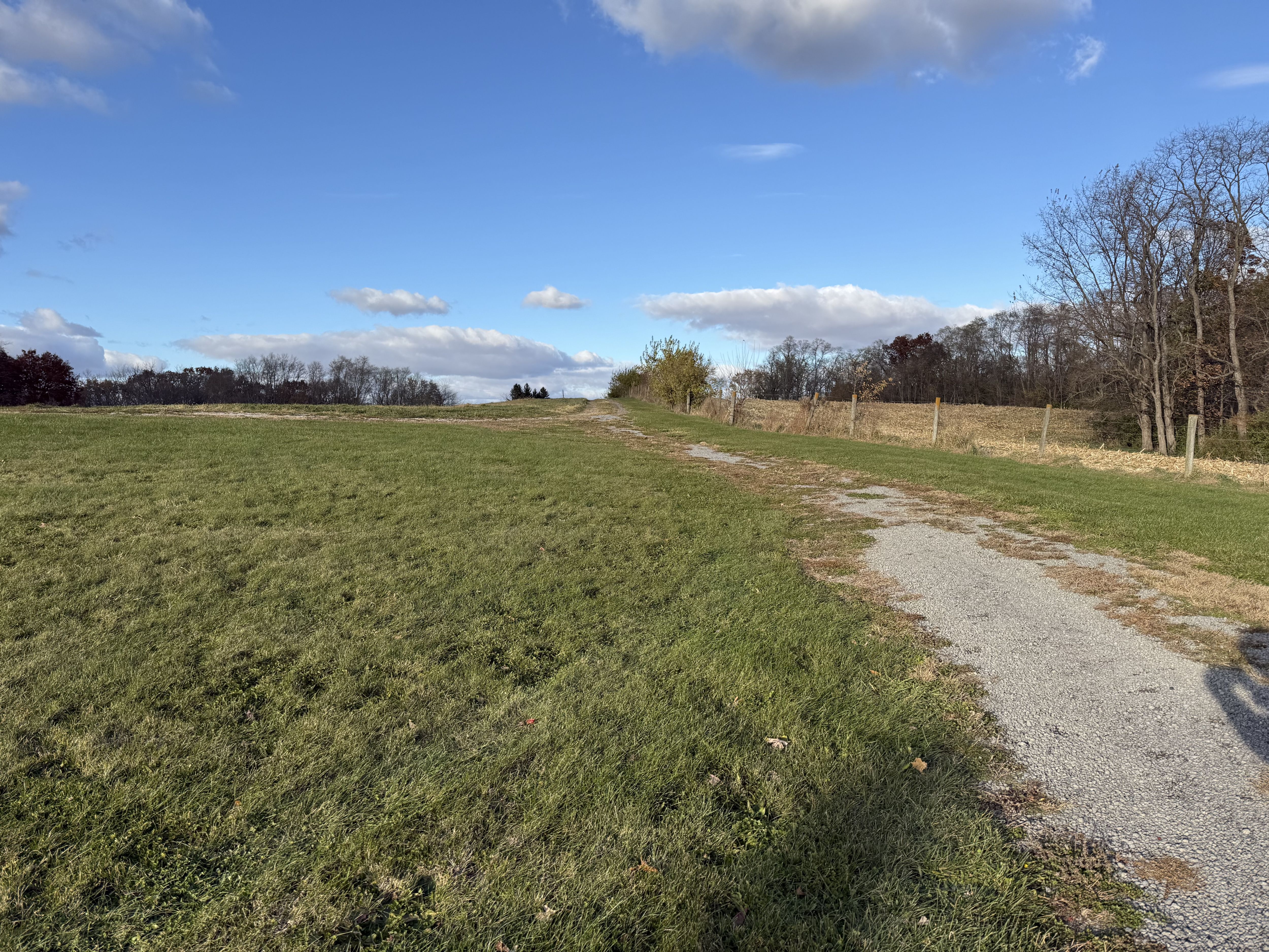 Listing Photo: Photo Nov 09 2025, 3 20 06 PM